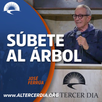 Súbete al árbol