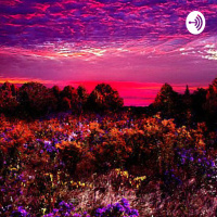 Opinion about “The Meg”