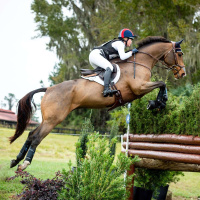 #97 Alyssa Phillips Interview