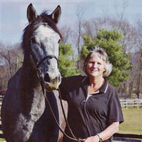 #85 Phyllis Dawson Interview: Team Windchase