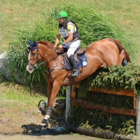 #89 Nilson Moreira da Silva Interview: The journey from Brazilian Groom to Brazilian WEG Team member