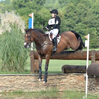 #90 Jill Thomas Intrview: How you can help provide research data on equine distal limb injuries