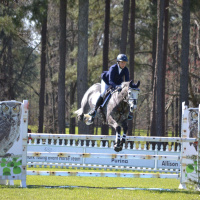 #53 Liz Halliday-Sharp Interview