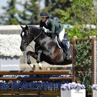 #100 Sports Psychology with Dr. Darby Bonomi