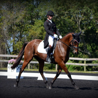 #68 Waylon Roberts Interview:How to start an International Incident....