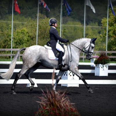 Major League Eventing Podcast