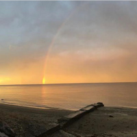 Episode 24. What a Disappointing Season