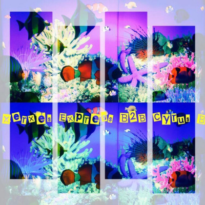 In The Mix No.5 Dj Cyrus B