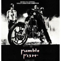 La ley de la calle (1983): la mala orilla del río