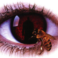 Candyman (Bernard Rose, 1992): Leyenda urbana