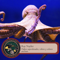Gabinete de Curiosidades - 4 - Ray Nayler: pulpos superdotados, robots y colores asesinos