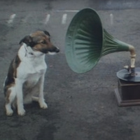 ¡Nuestros 20 discos favoritos!