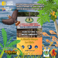 A Rincón Guapo Lo Oirán_Episodio 3: Agricultura y Medio Ambiente