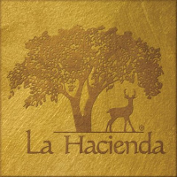 Sherri Layton Speaks about La Hacienda