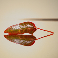 Satya (truthfulness)