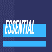 Essential Pt. 4