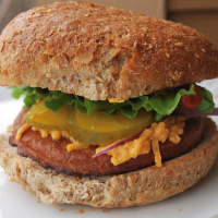 Slimming World for Junk Food Junkies