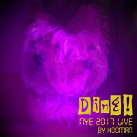Ding! | NYE 2017 Live | Rev. Hooman