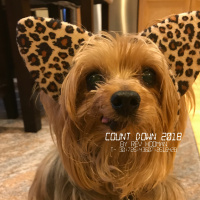 Ding! | Countdown to 2018 | Rev. Hooman