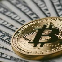 You Must Own Bitcoin