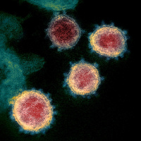 More On Coronavirus  The Stock Market