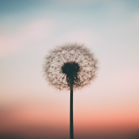 Aflevering 20, waar heb jij behoefte aan?