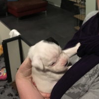 Aflevering 12: stap vanuit angst in liefde