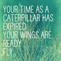 Aflevering 24, Spreid je vleugels en vlieg!