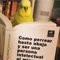 6x07 la ps5 no vende porque no quiere, noticias y charloteo anime!!