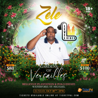 Level Vibes LIVE @ Zele Gardens Of Versailles