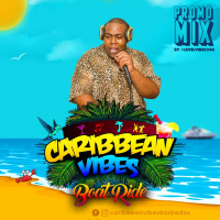 Caribbean Vibes Boat Ride Promo Mix