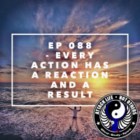 Ep 088 - Every Action Has a Reaction and a Result