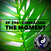 Ep 390 - Embracing the Moment