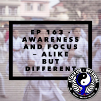 Ep 163 - Awareness and Focus — Alike But Different