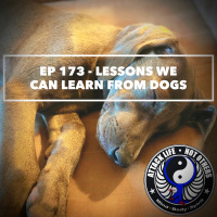 Ep 173 - Lessons We Can Learn From Dogs