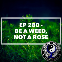 Ep 280 - Be a Weed, Not a Rose