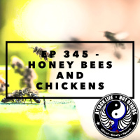 Ep 345 - Honey Bees and Chickens