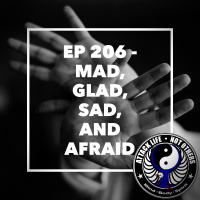 Ep 206 - Mad, Glad, Sad, and Afraid