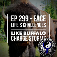 Ep 299 - Face Lifes Challenges Like Buffalo Charge Storms