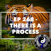 Ep 268 - There is a Process
