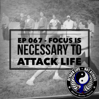 Ep 067 - Focus is Necessary to Attack Life
