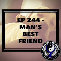 Ep 244 - Mans Best Friend