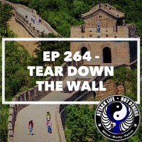 Ep 264 - Tear Down the Wall