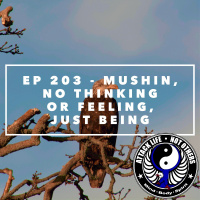 Ep 203 - Mushin, No Thinking or Feeling, Just Being