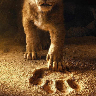 Mufasa T. Leone
