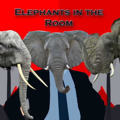 Elephants In The Rooom