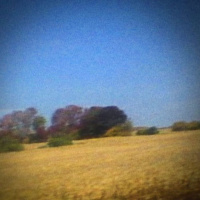 Episode 31: Sun Kil Moons Benji