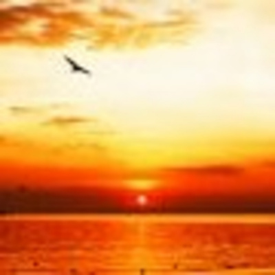 Worldwideliveministrypodcast