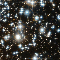 Episode 25 - The Thing In The Garden