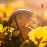 A healthy lifestyle-健康的生活方式